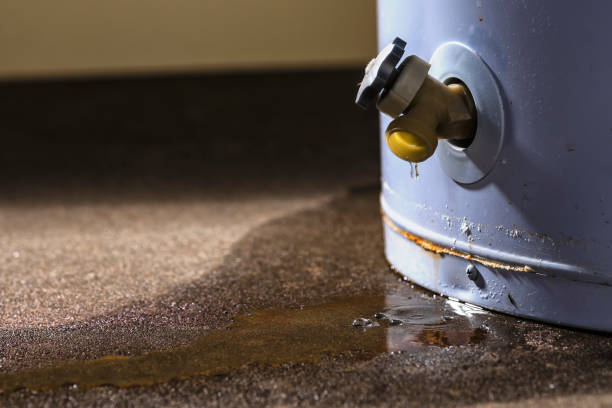 Best Water damage restoration near me  in Laureles, TX