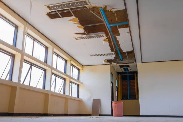 Best Flood damage cleanup  in Laureles, TX