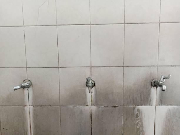 Best Residential water damage restoration  in Laureles, TX