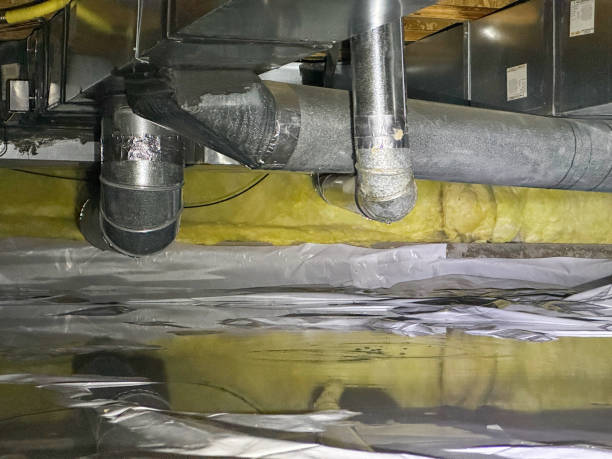 Best Flood restoration services  in Laureles, TX