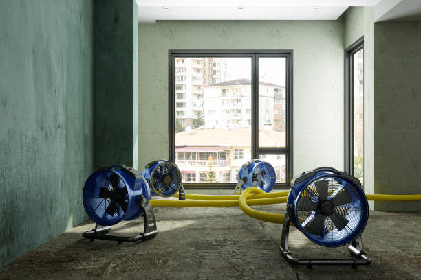 Best Carpet water damage restoration  in Laureles, TX